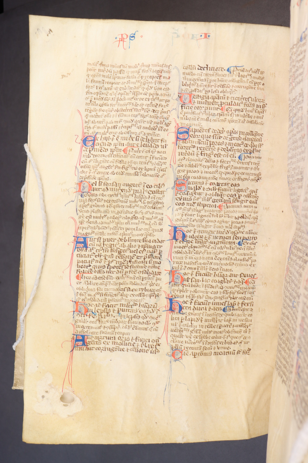 Folio 193 verso