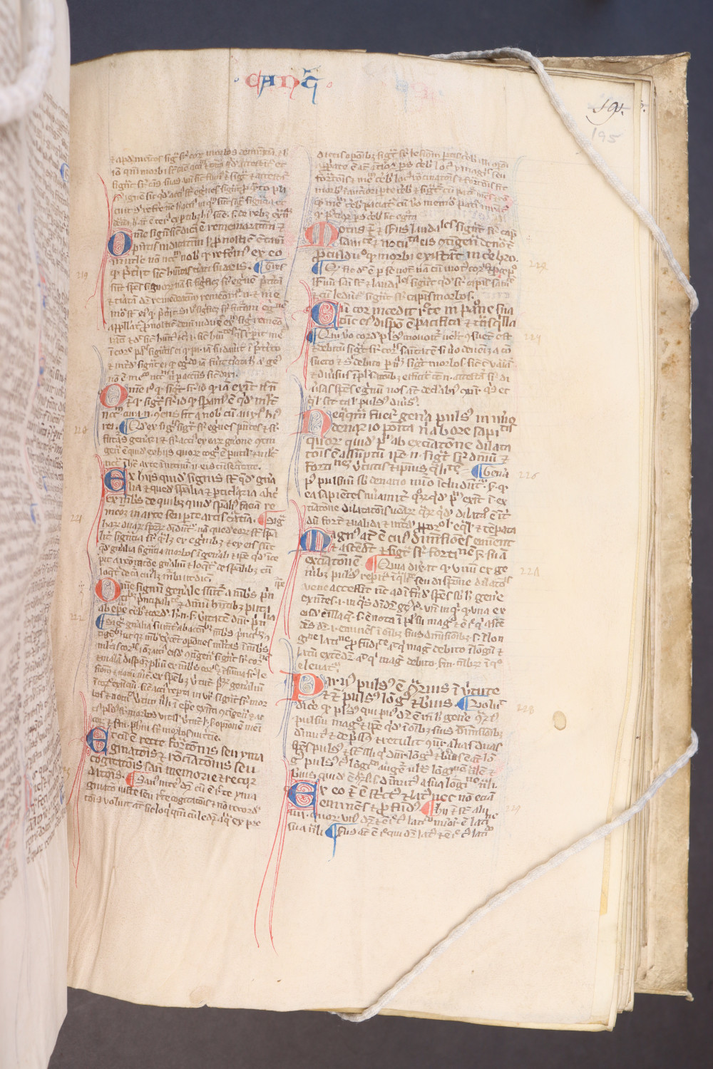 Folio 195 recto