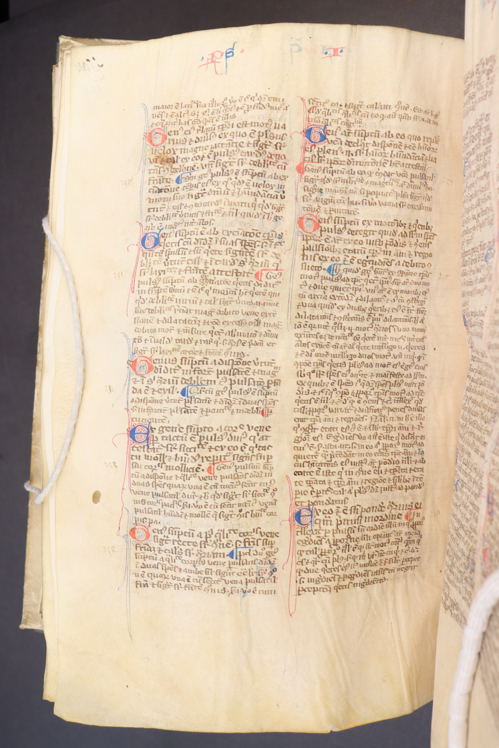 Folio 195 verso
