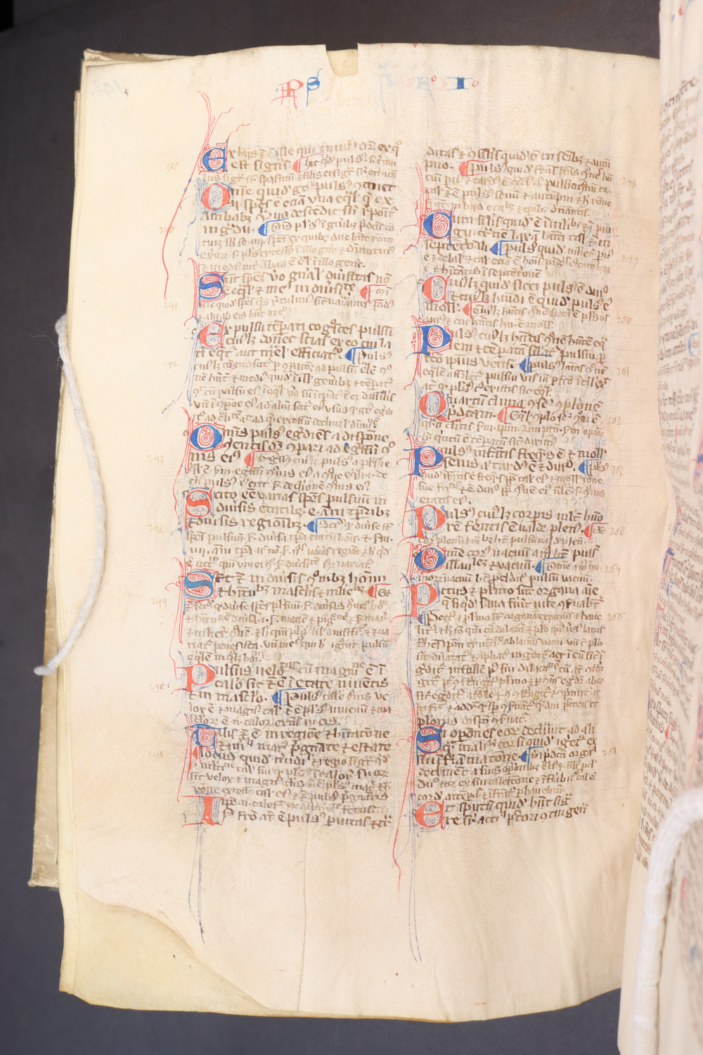 Folio 196 verso