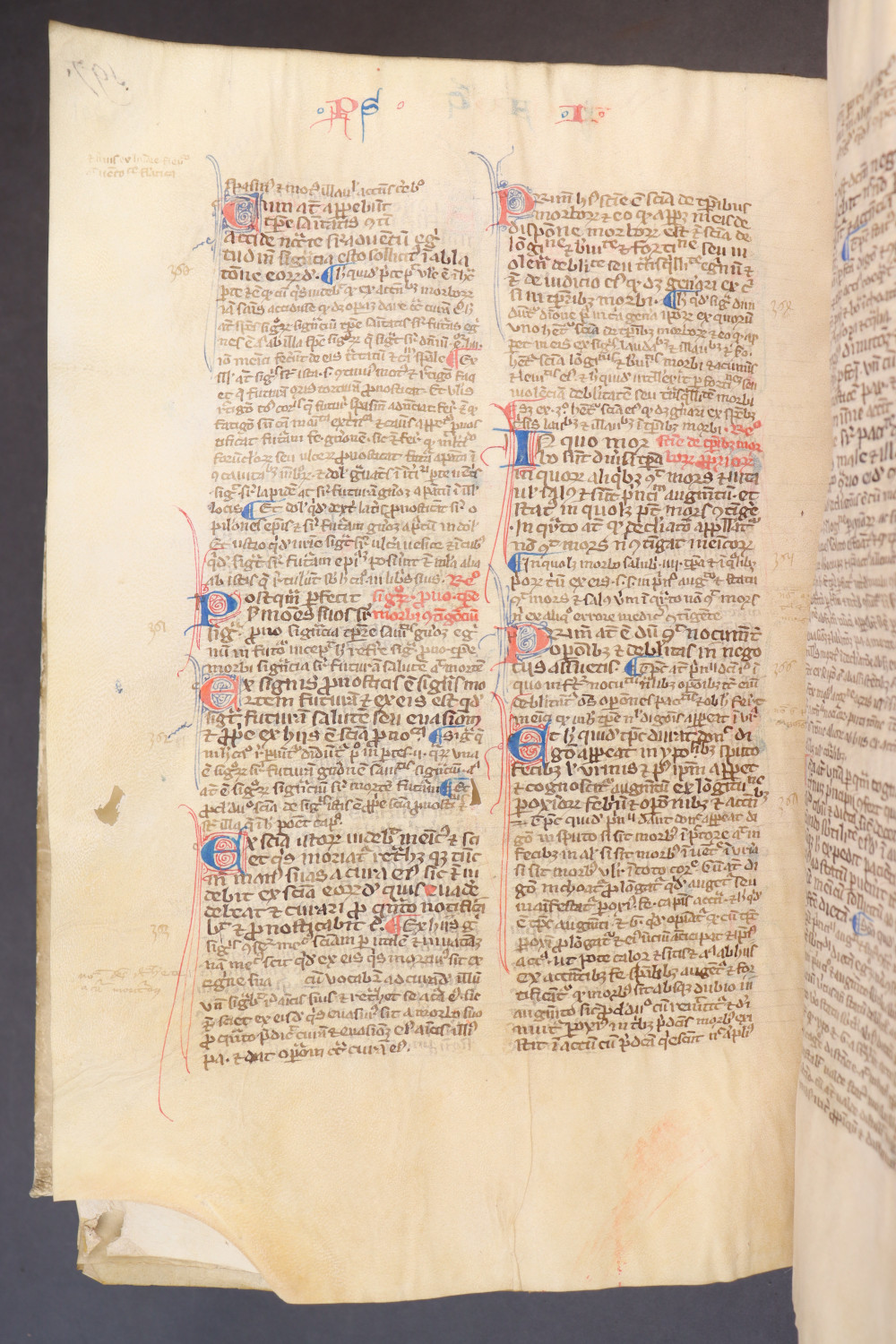 Folio 201 verso