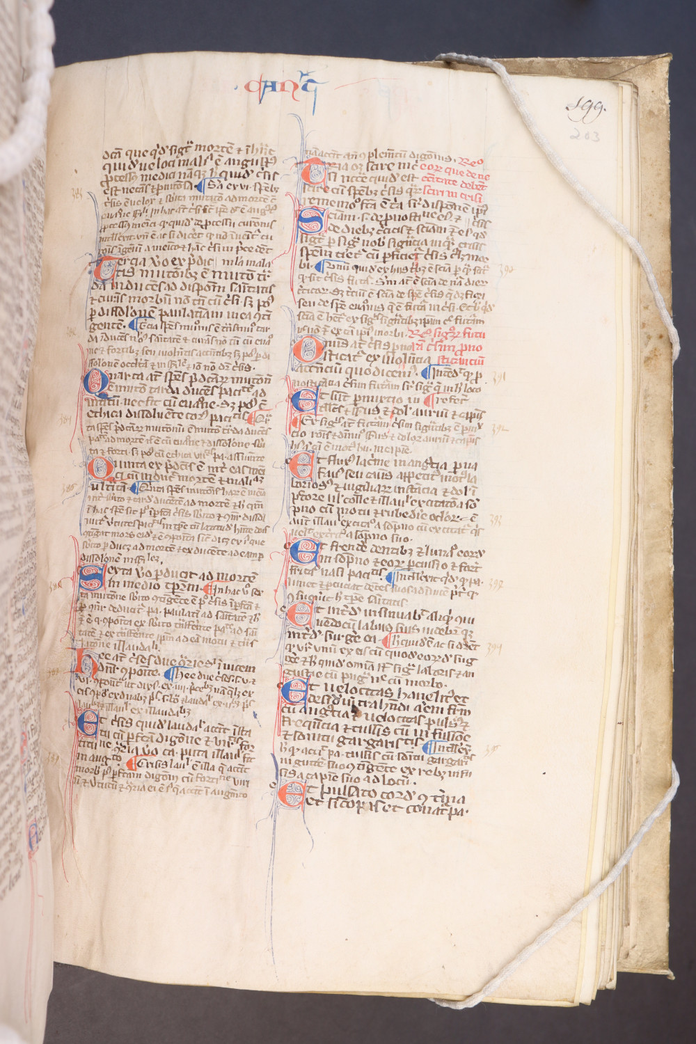Folio 203 recto