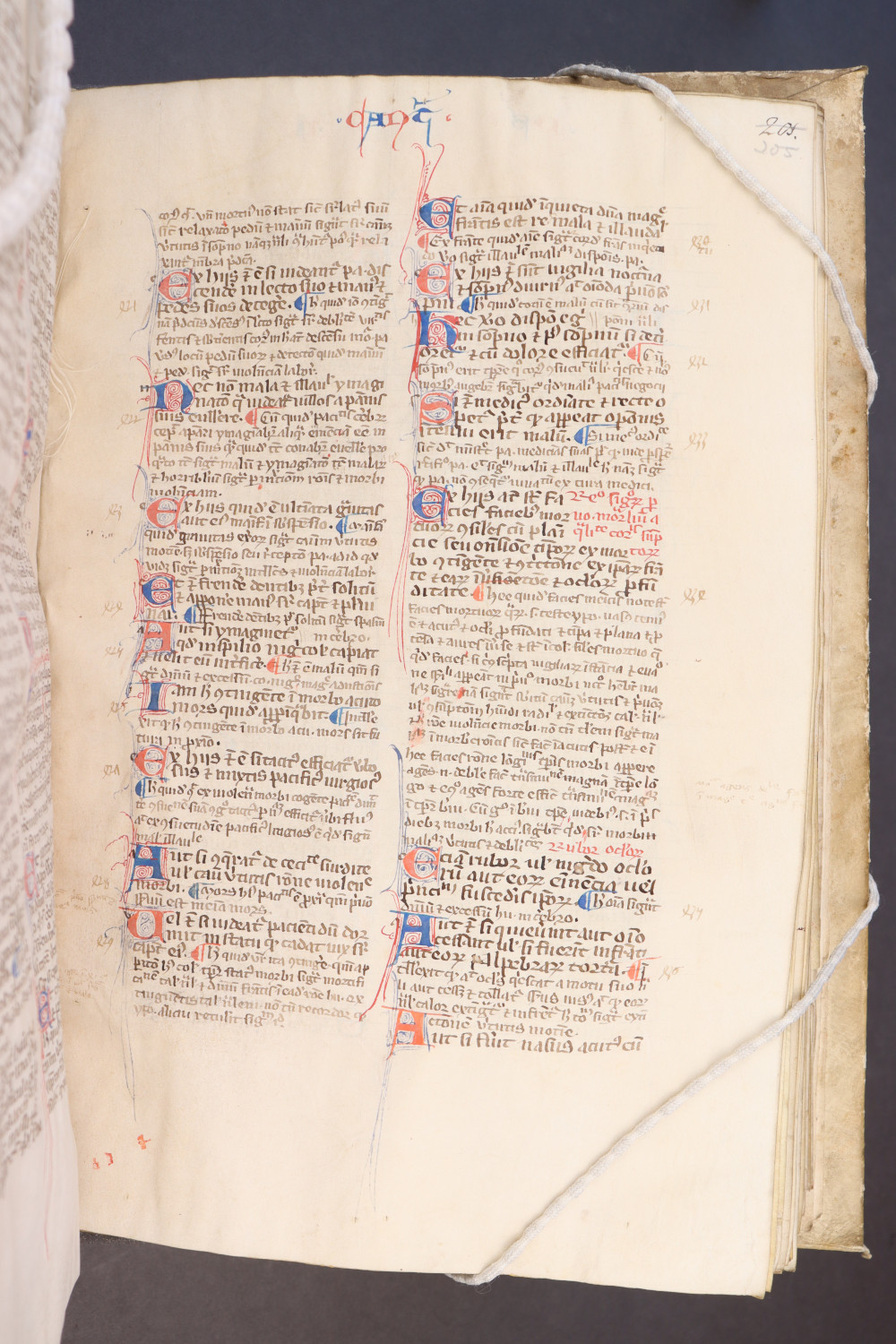 Folio 205 recto