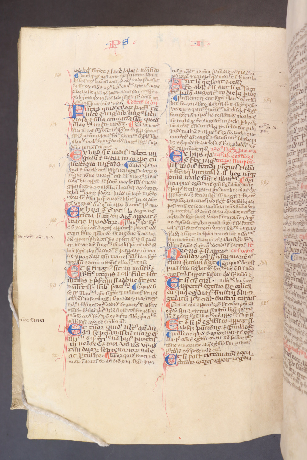 Folio 205 verso