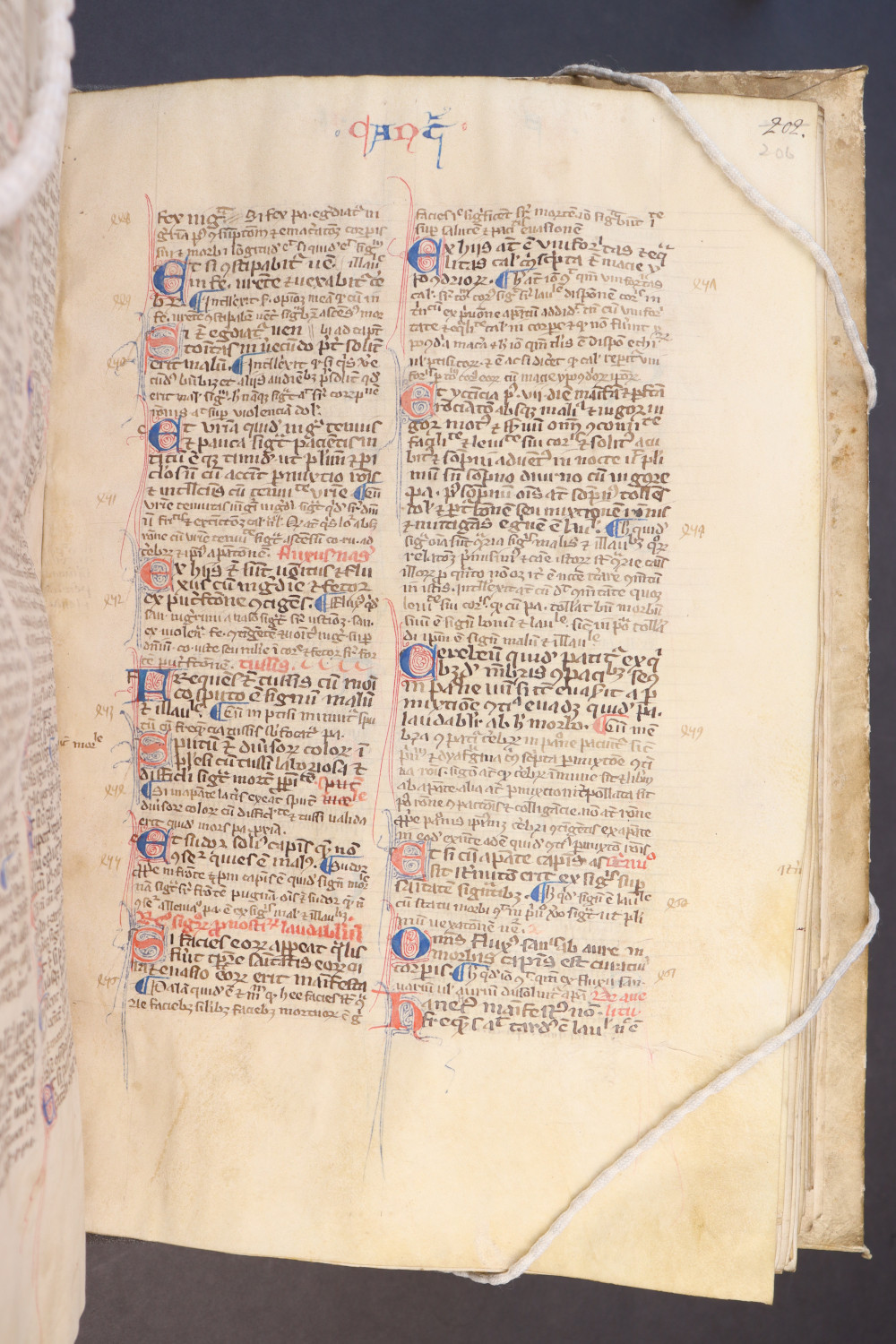 Folio 206 recto