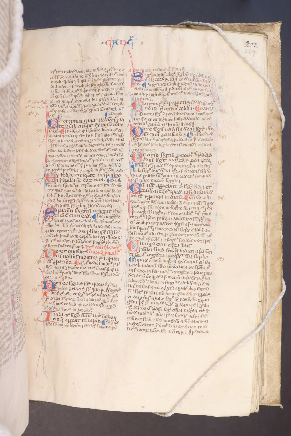 Folio 207 recto