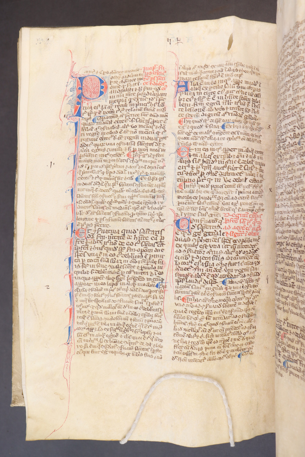 Folio 207 verso