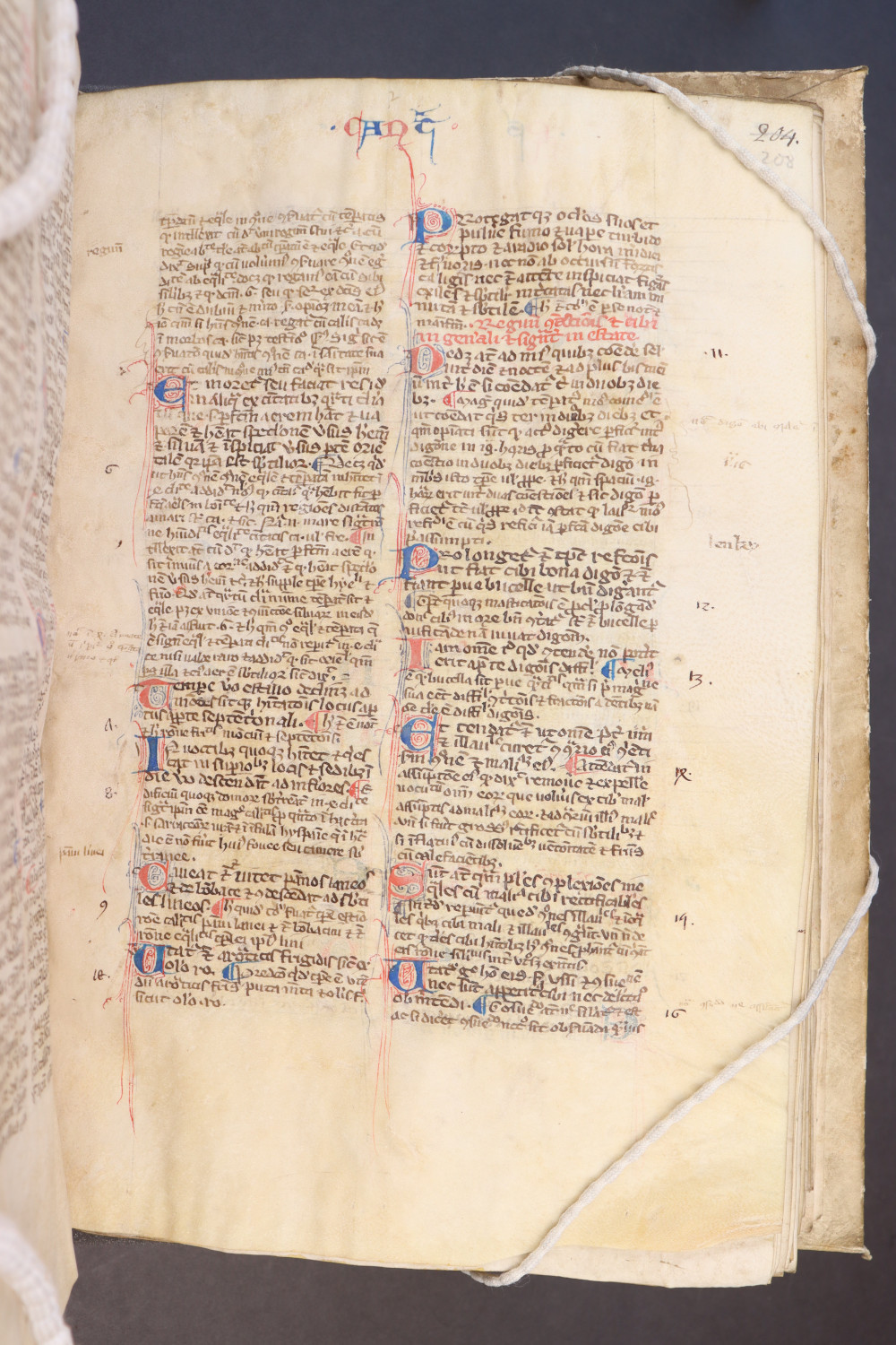 Folio 208 recto