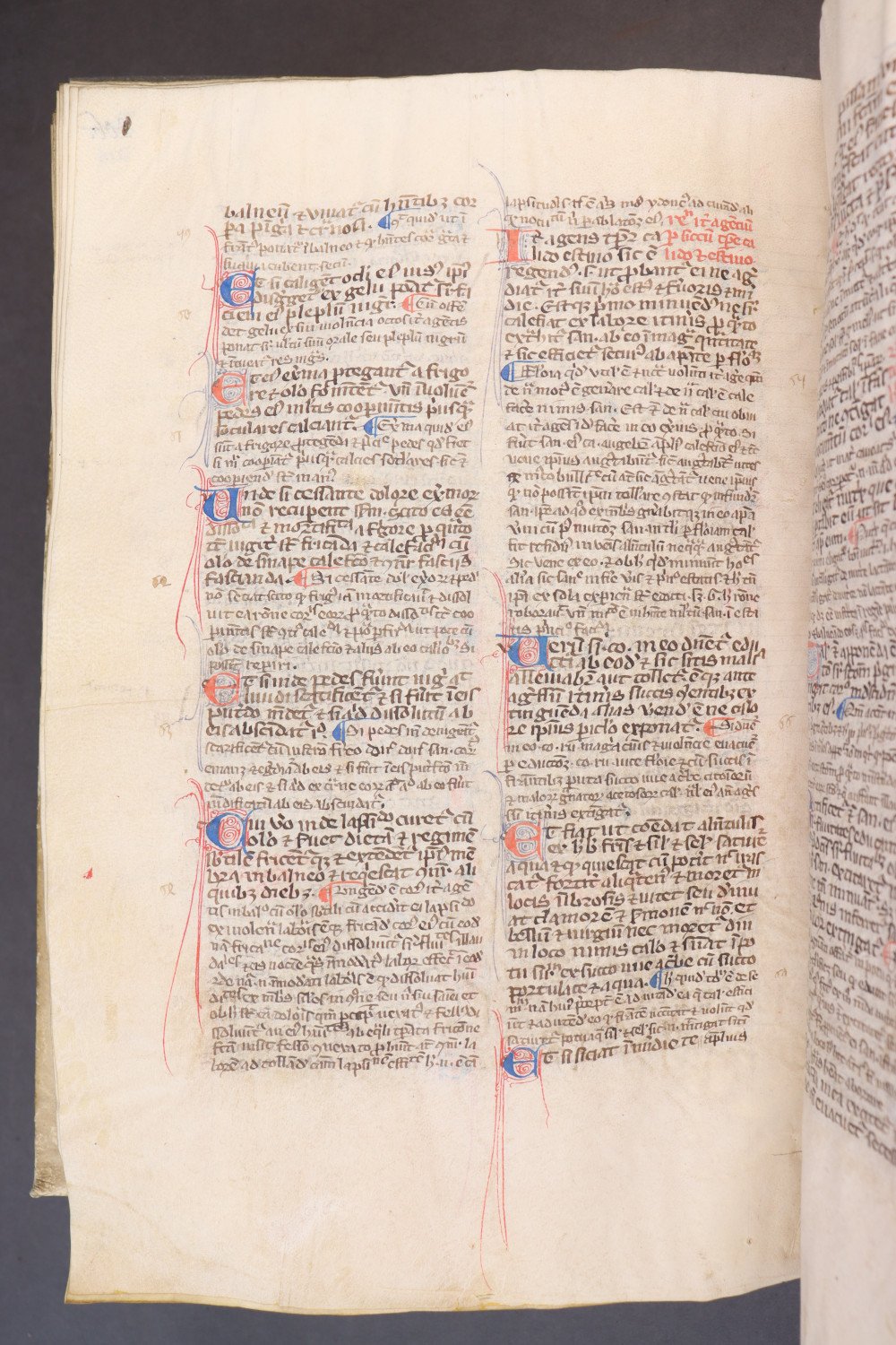 Folio 210 verso