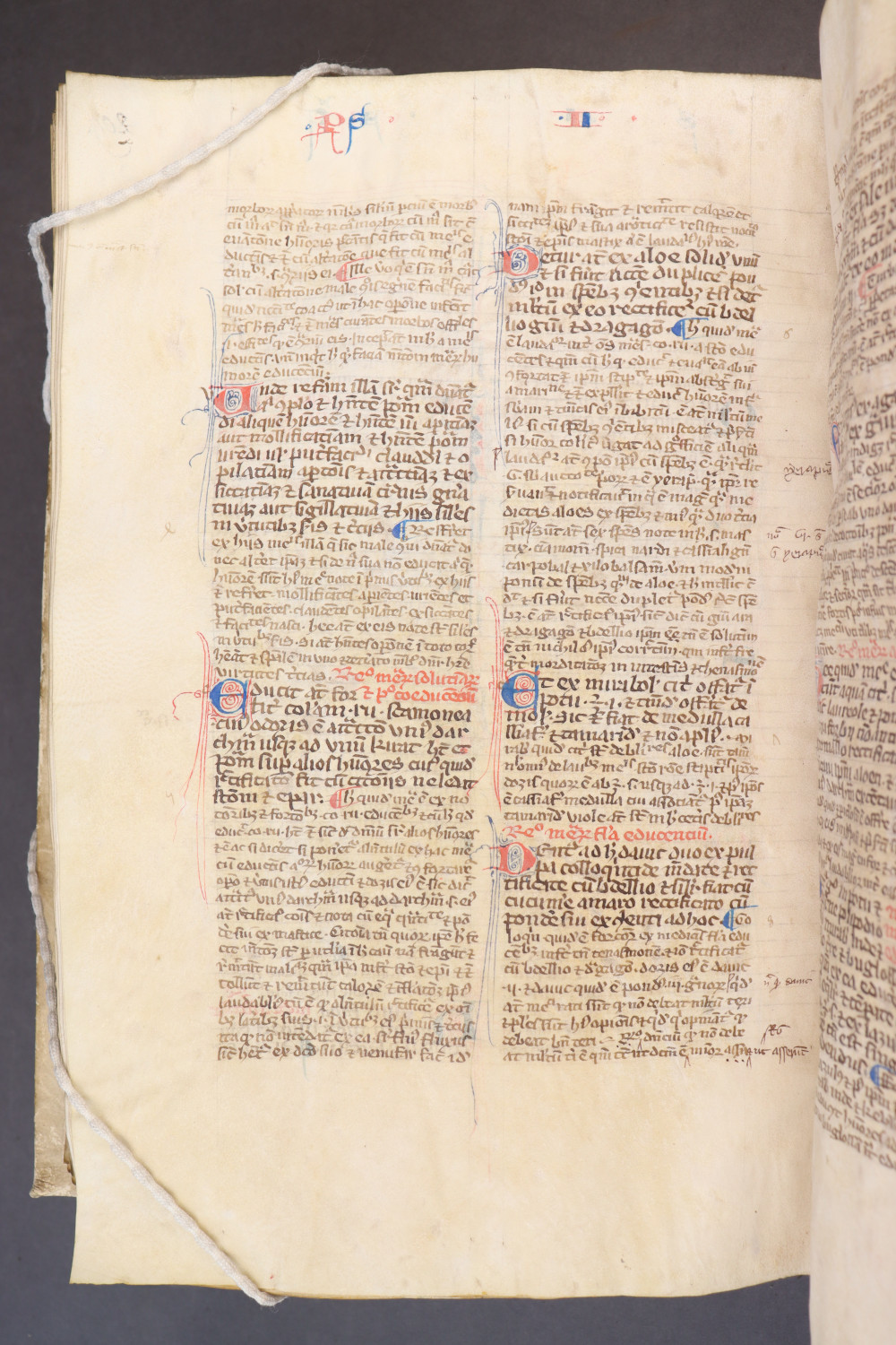 Folio 213 verso