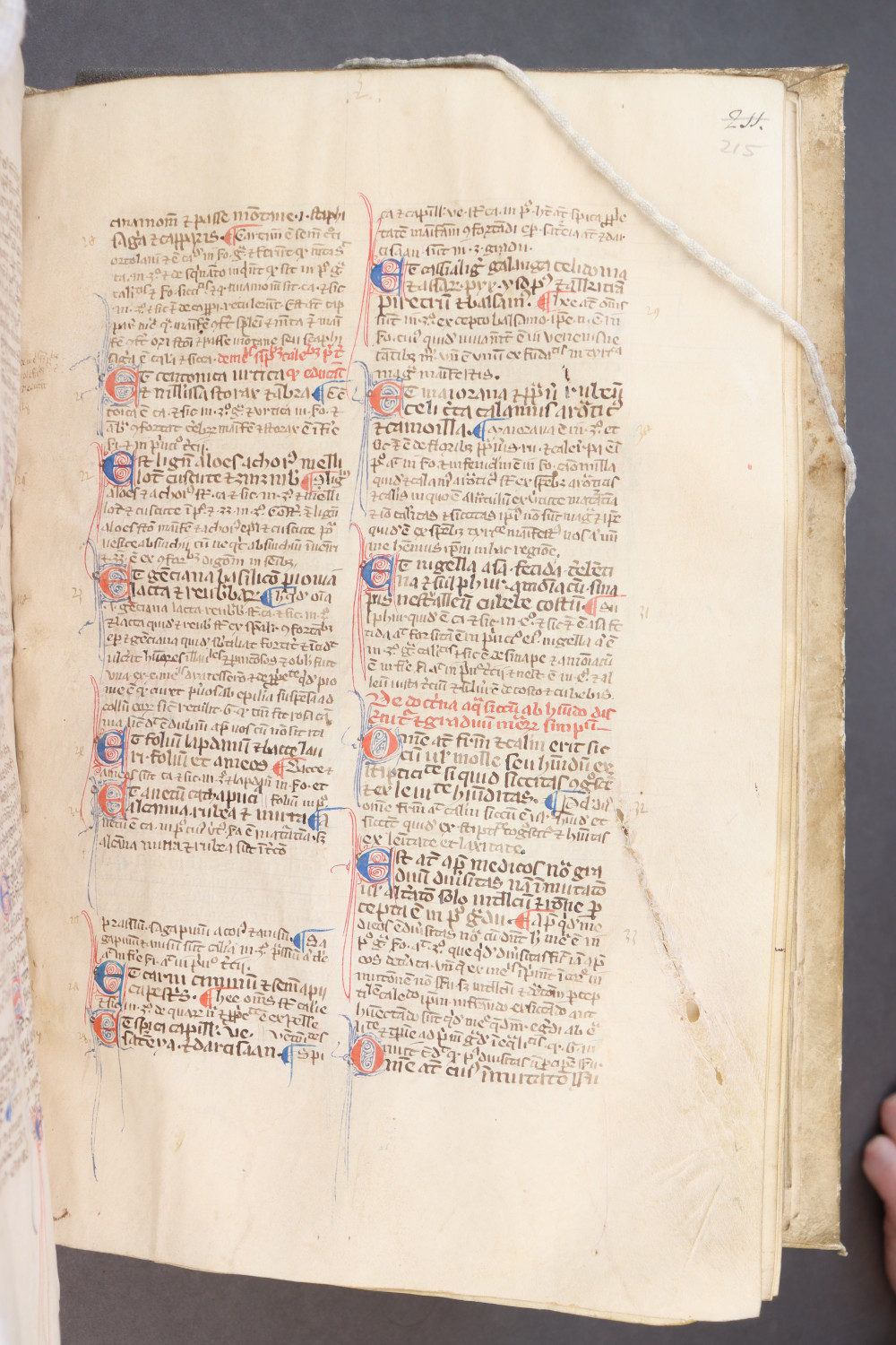 Folio 215 recto