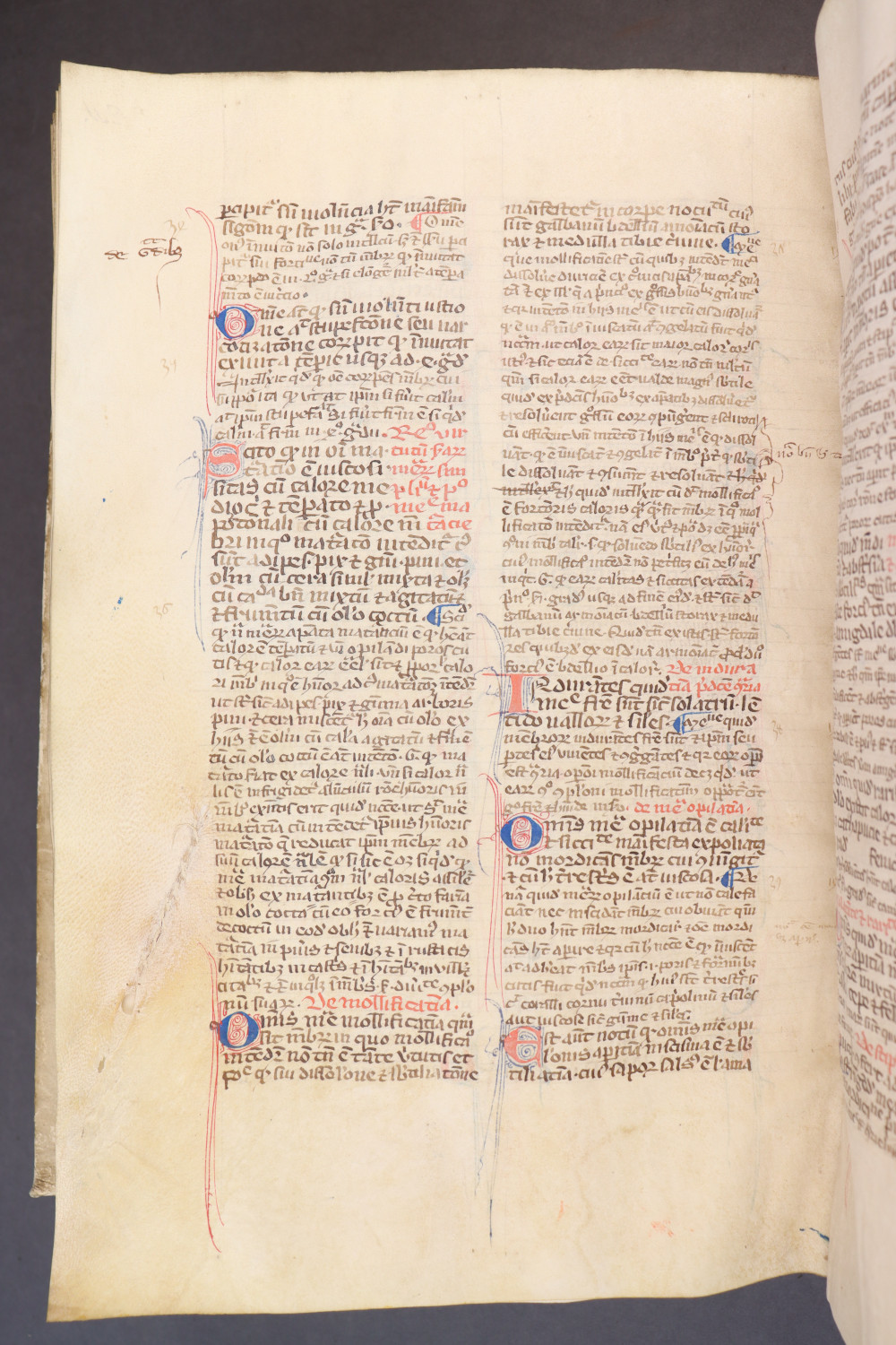 Folio 215 verso