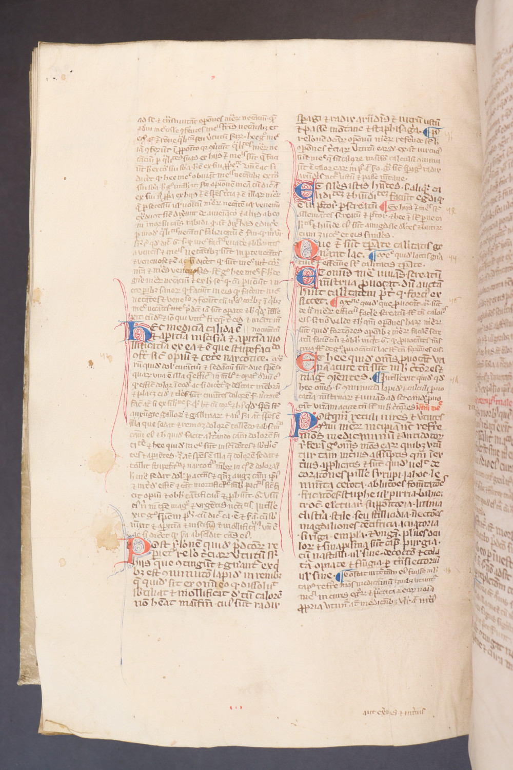 Folio 216 verso