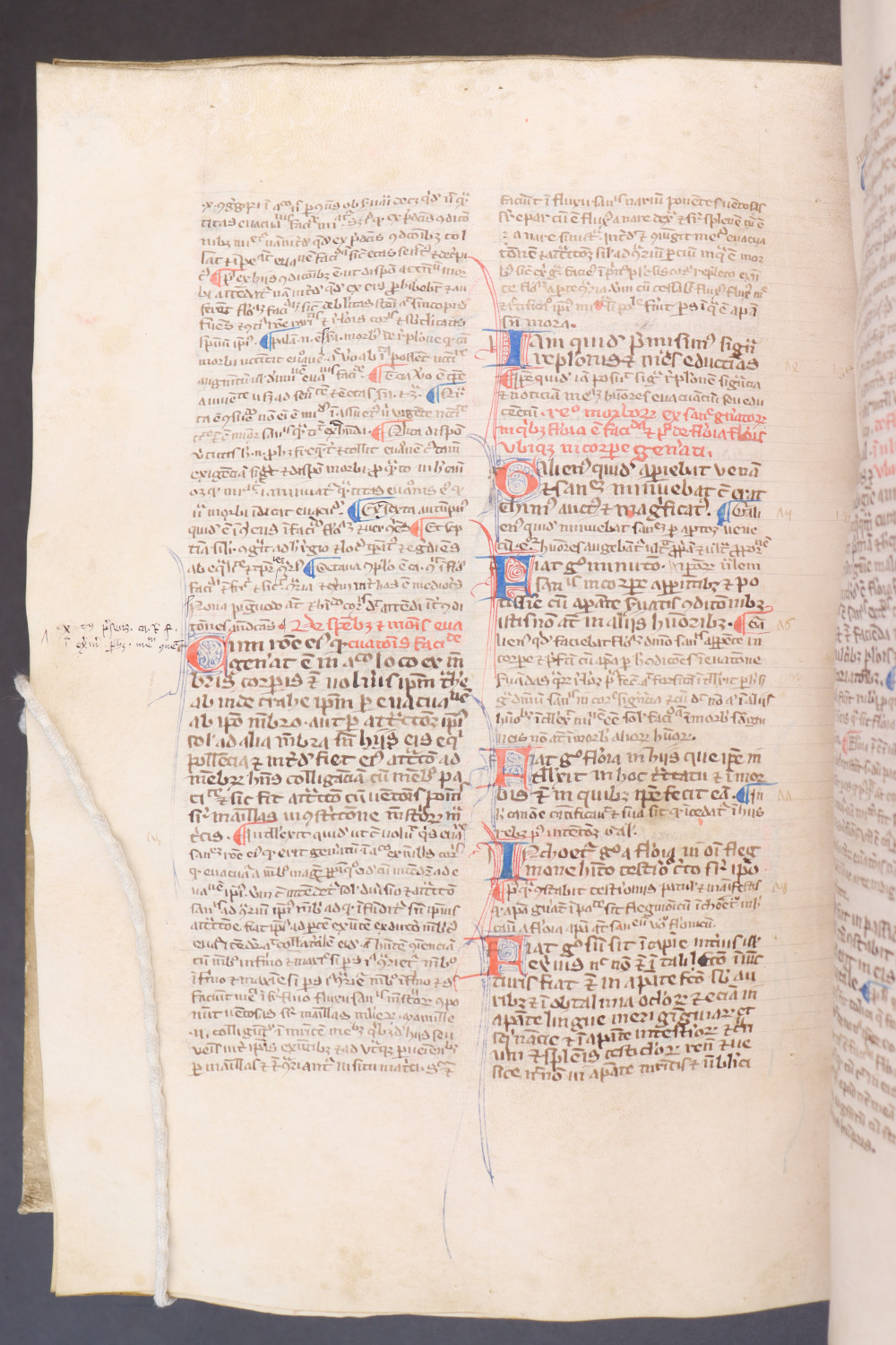 Folio 218 verso