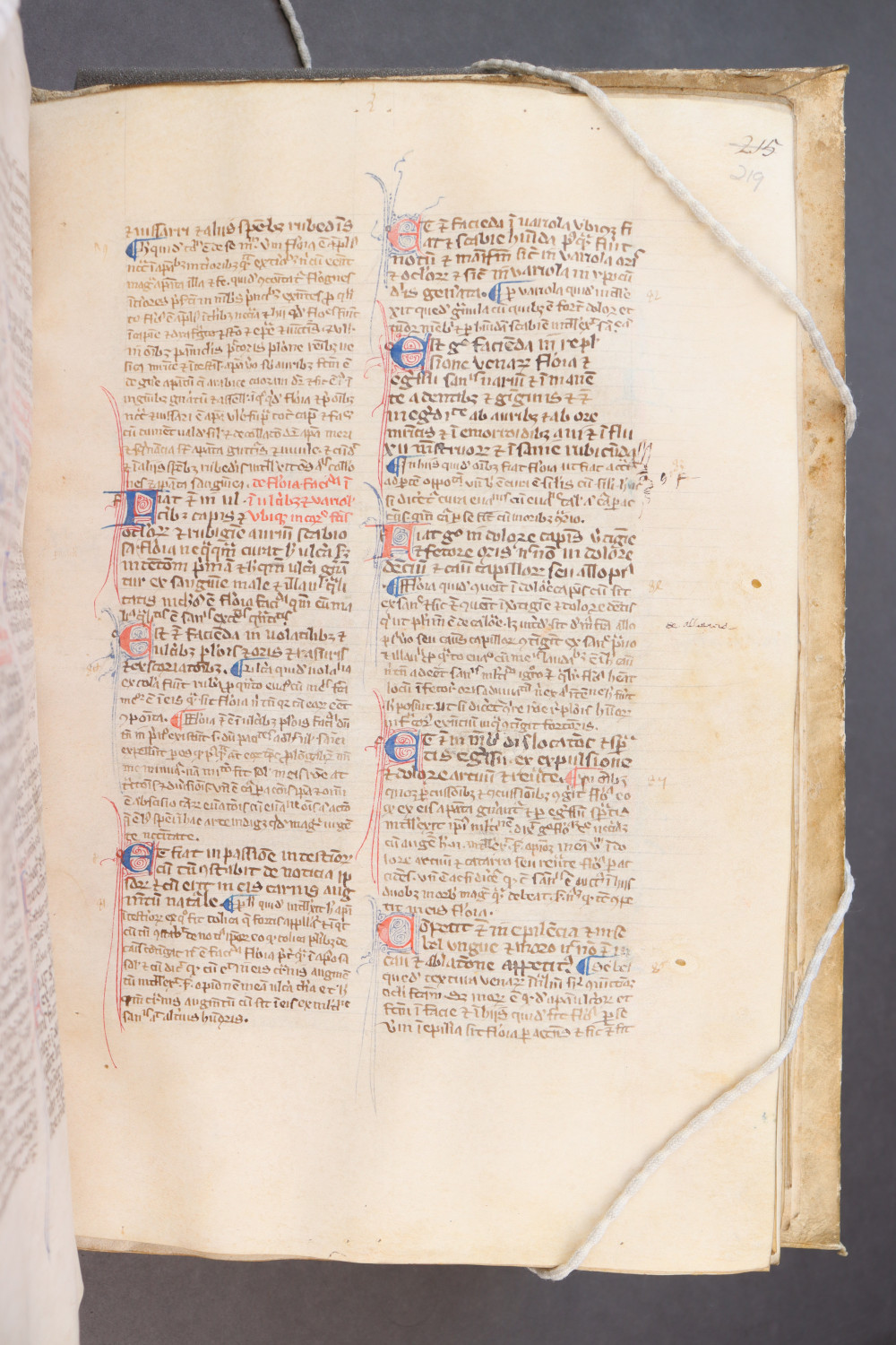 Folio 219 recto