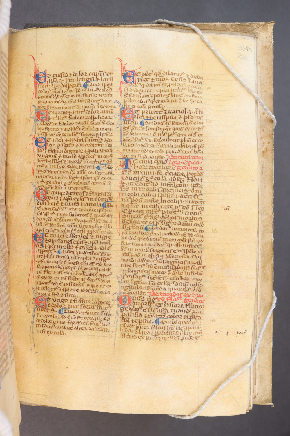 Folio 220 recto