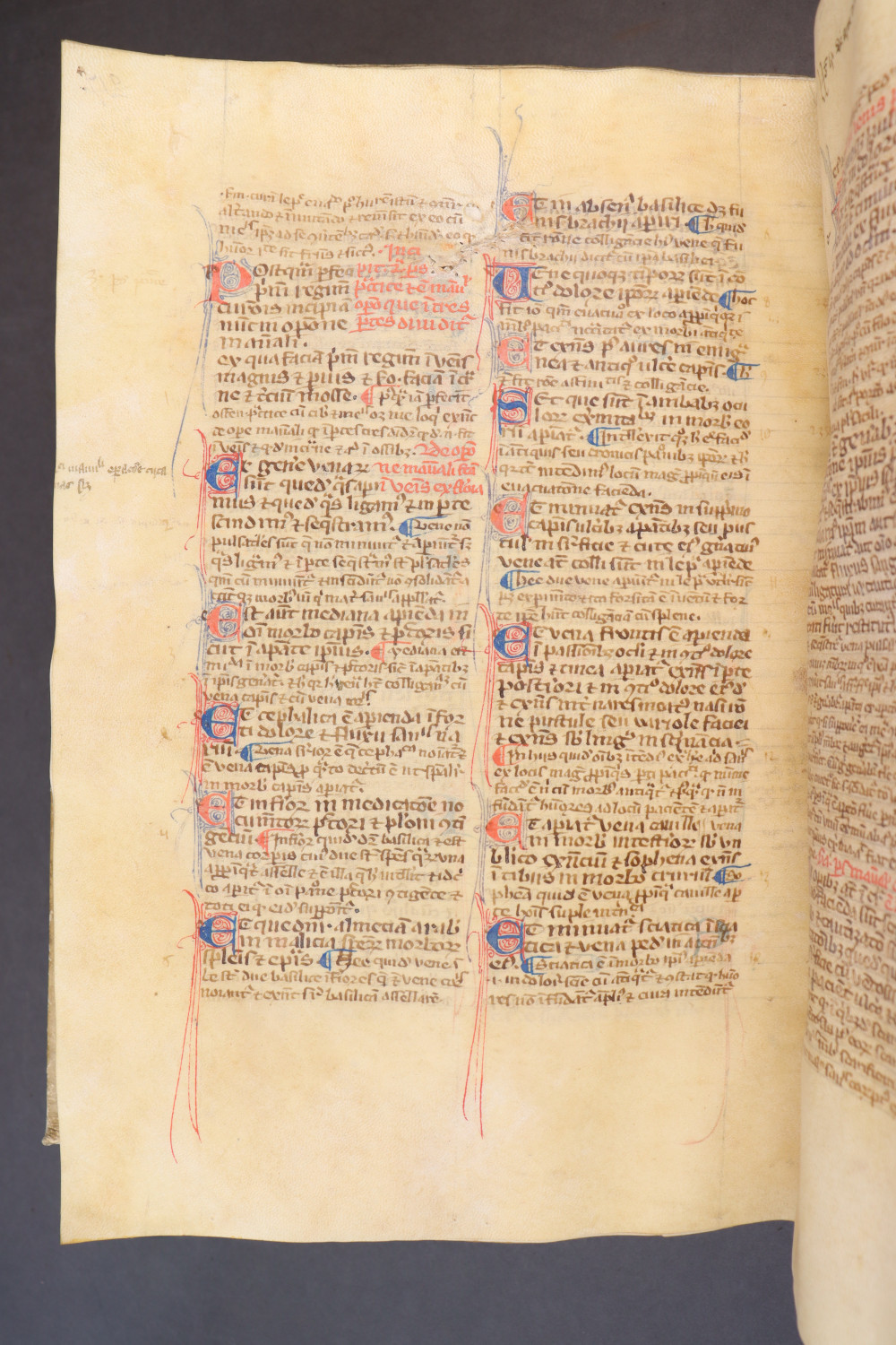 Folio 221 verso