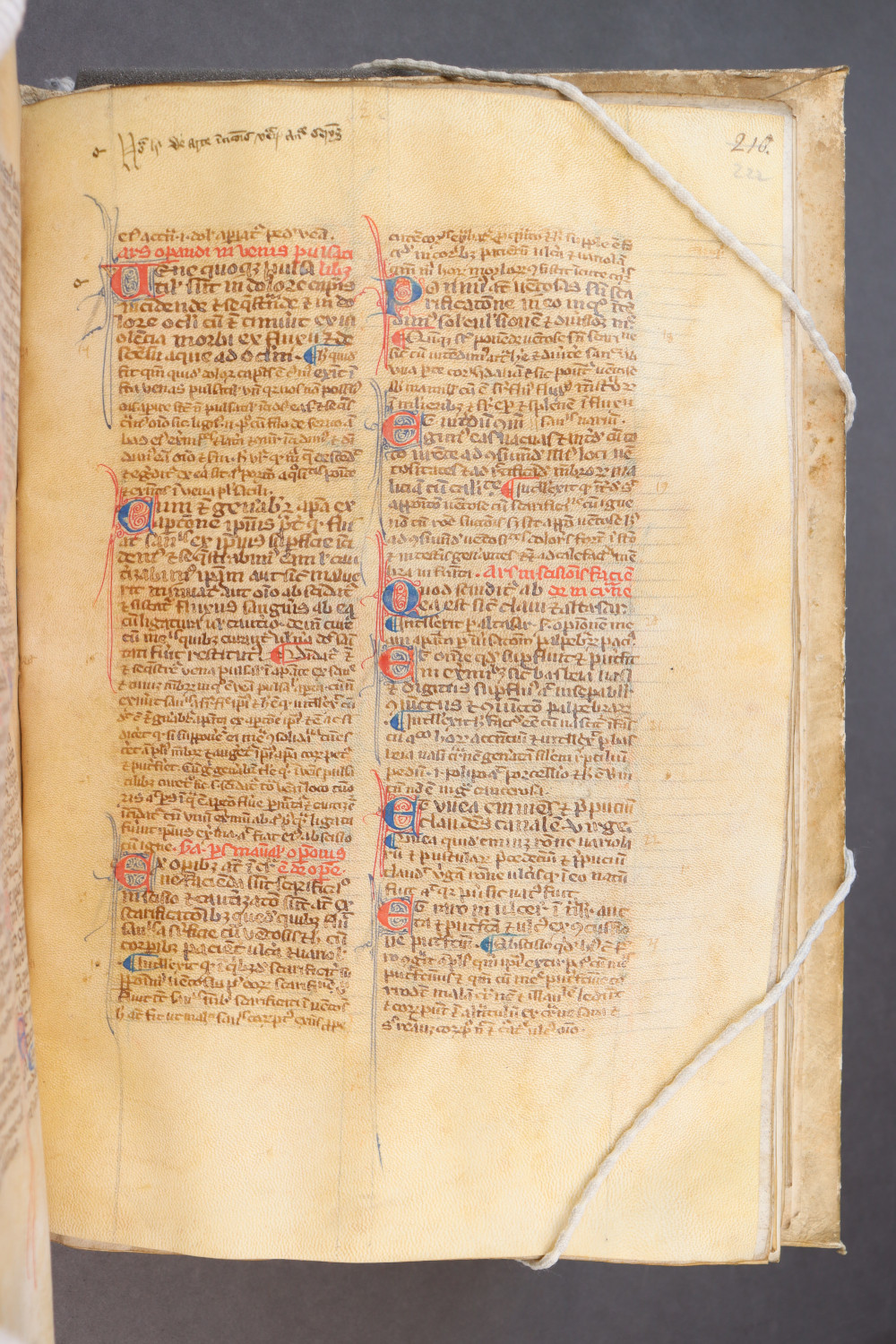 Folio 222 recto