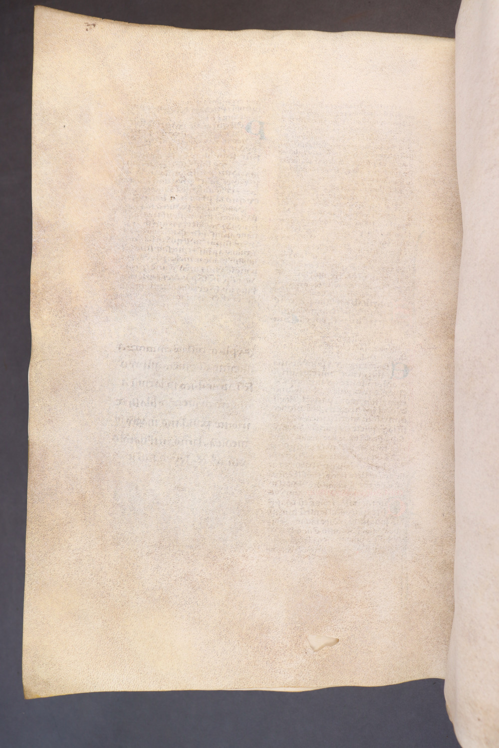 Folio 223 verso