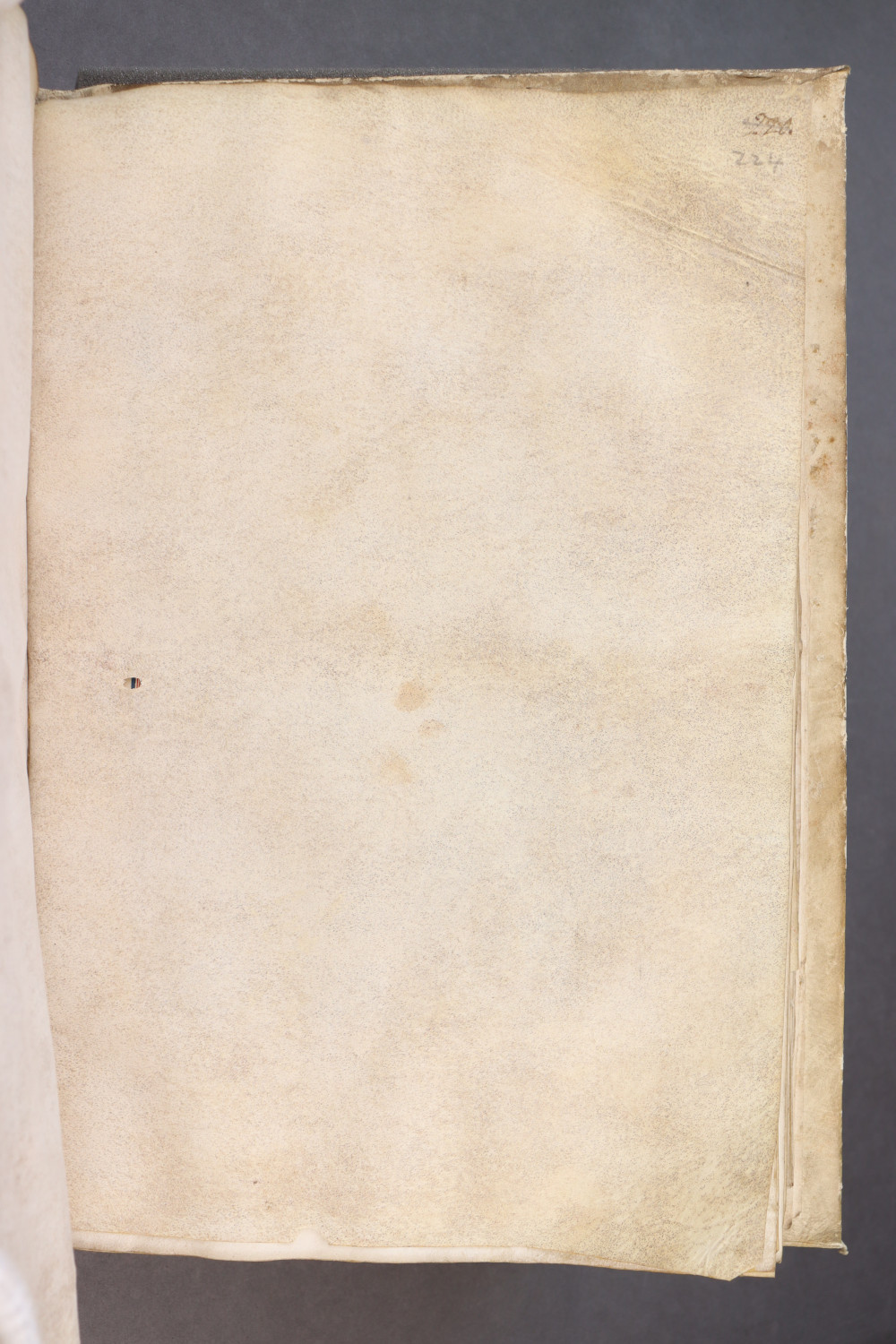 Folio 224 recto