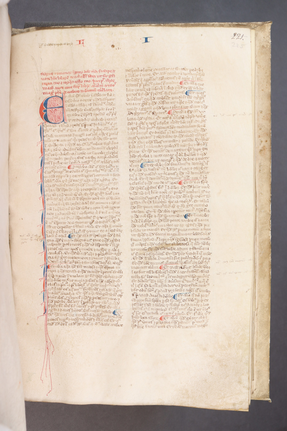 Folio 225 recto
