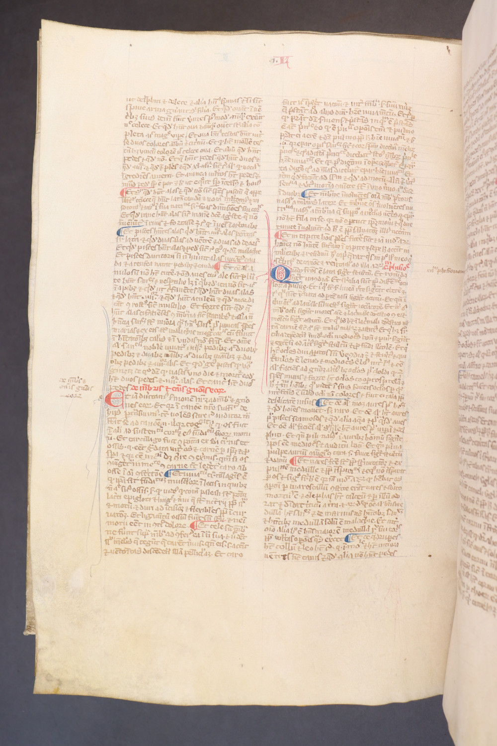 Folio 225 verso