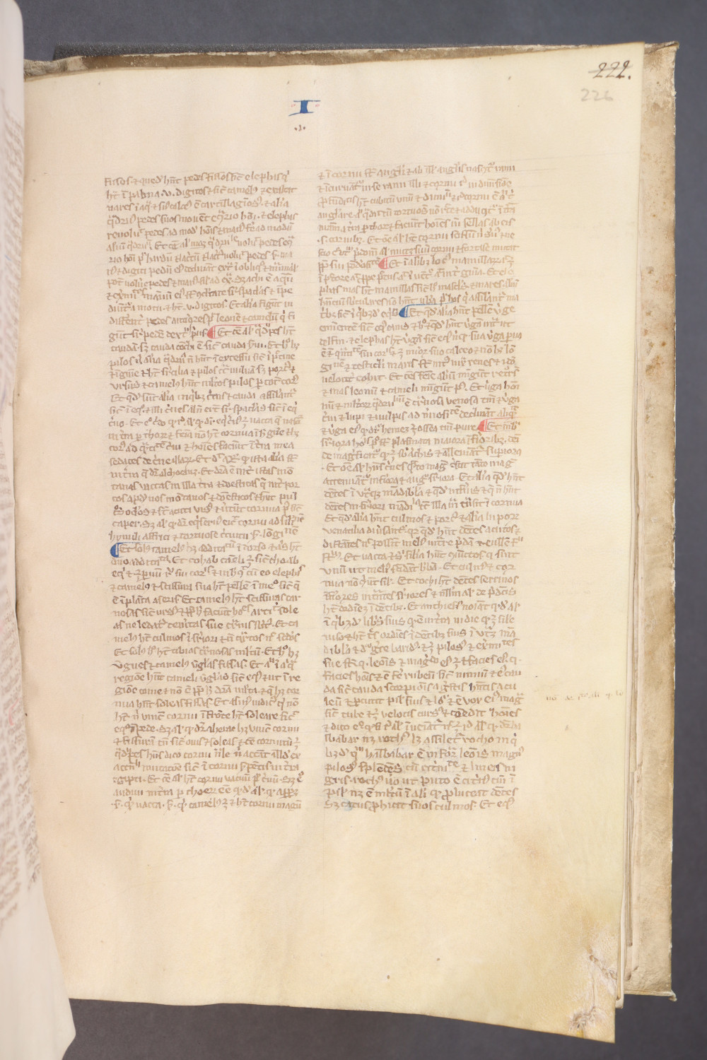 Folio 226 recto