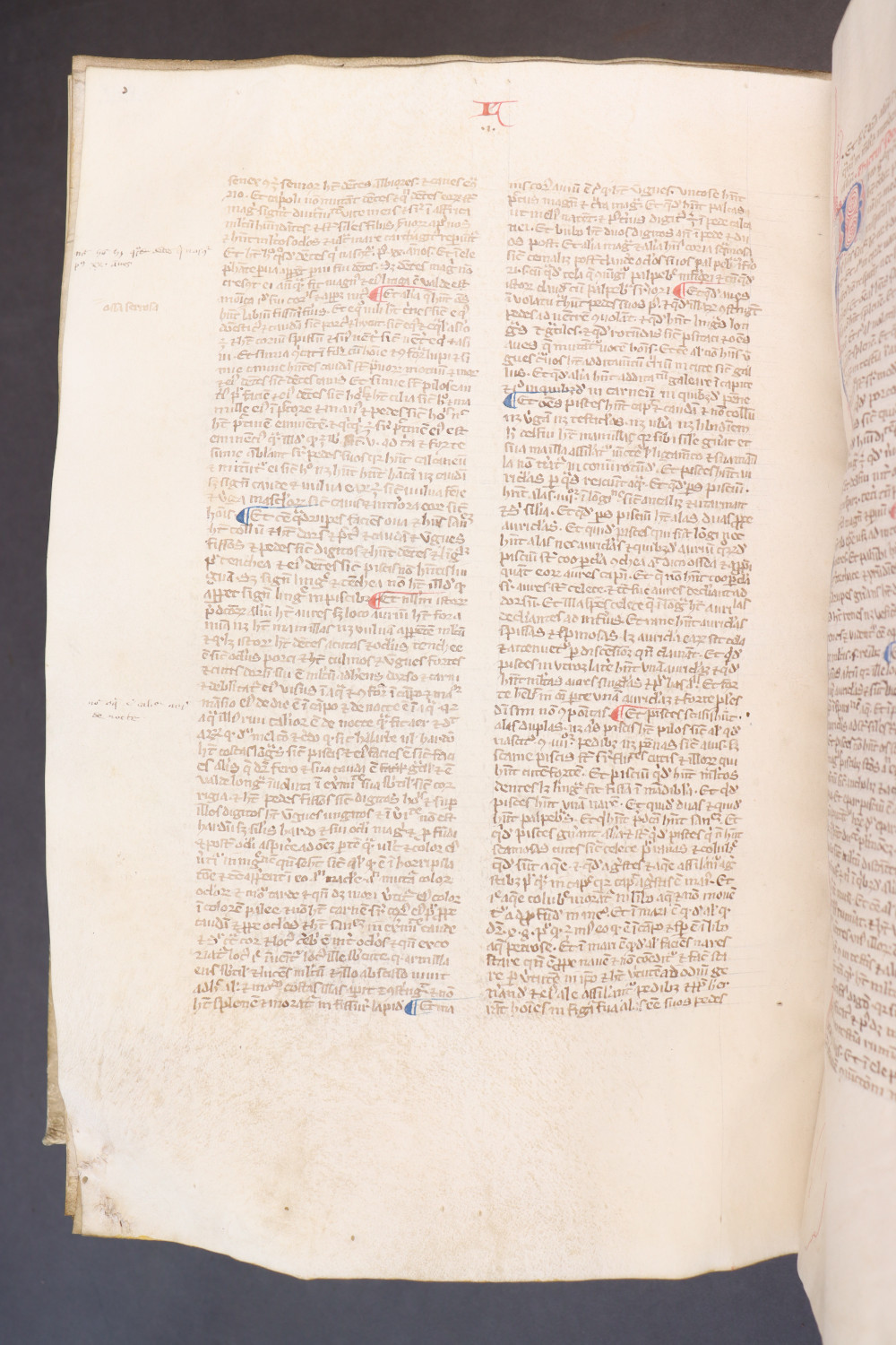 Folio 226 verso