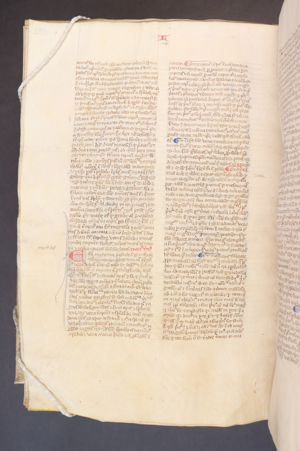Folio 227 verso