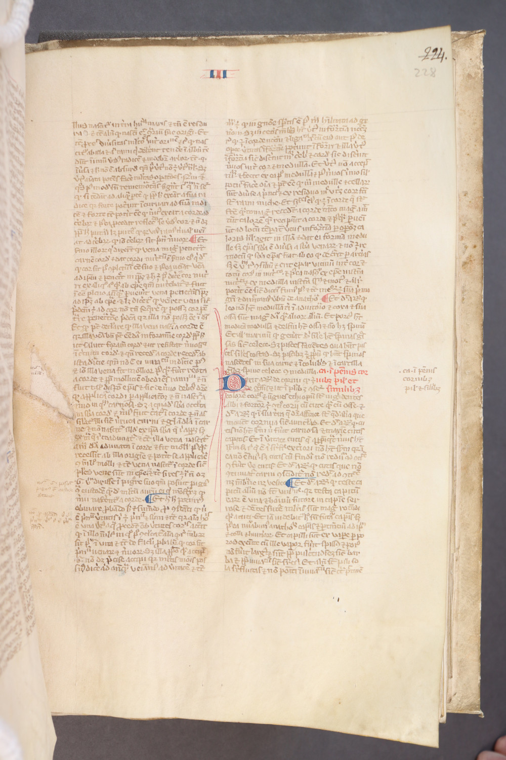 Folio 228 recto