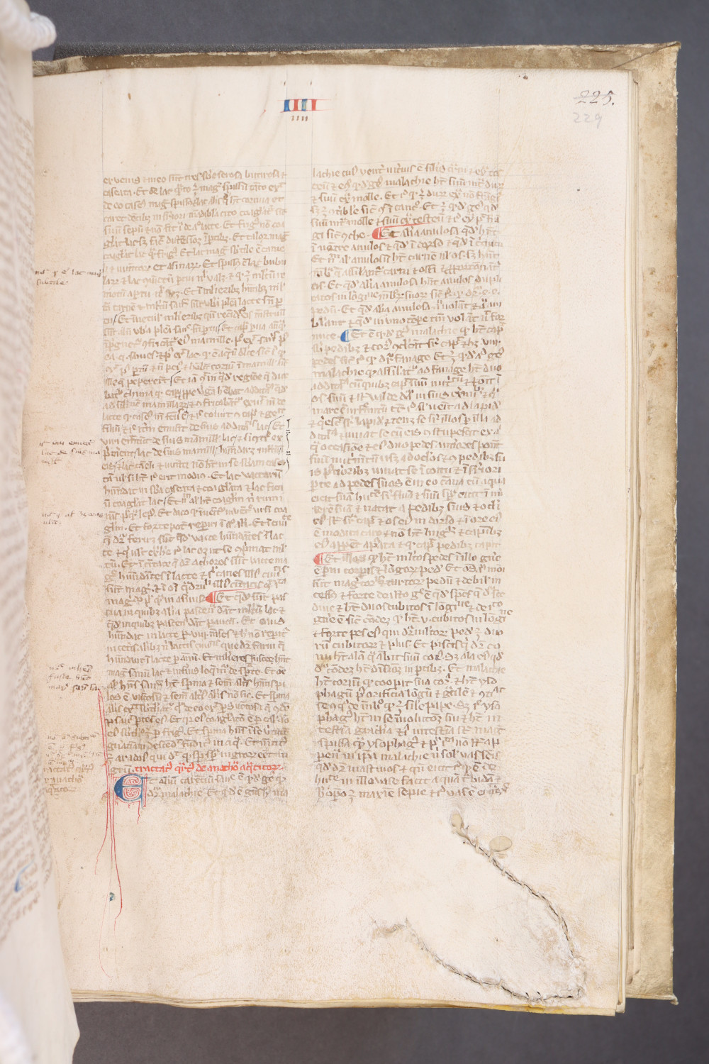Folio 229 recto