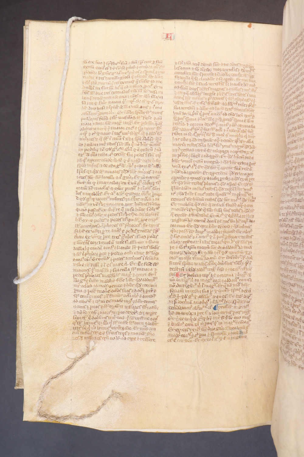 Folio 229 verso