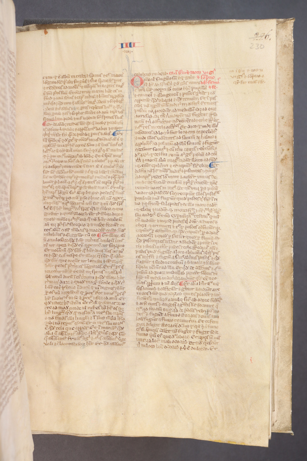 Folio 230 recto