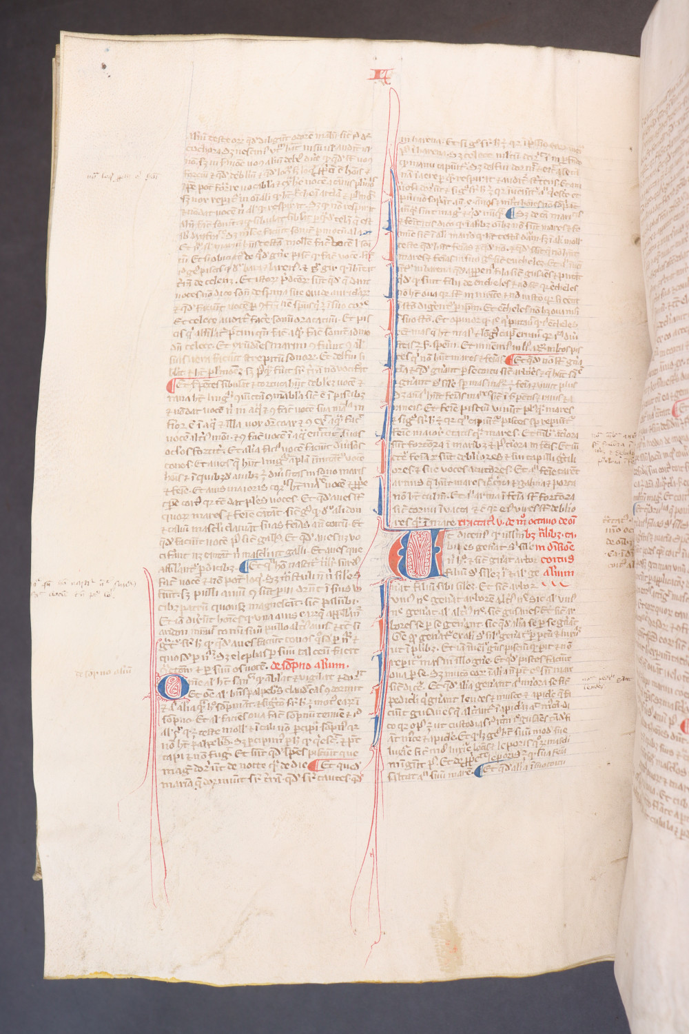 Folio 230 verso
