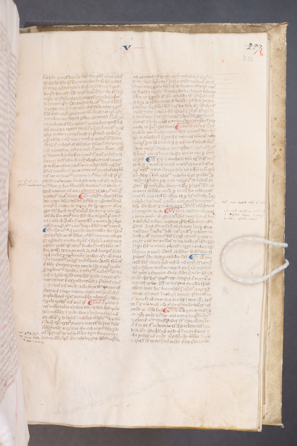 Folio 231 recto