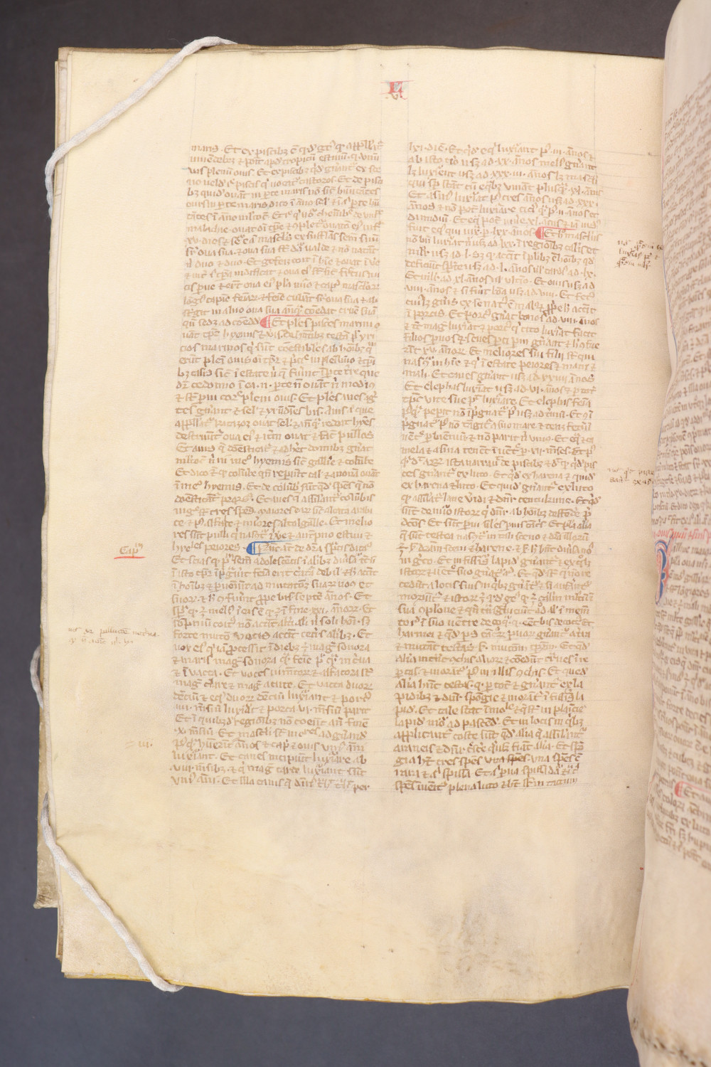 Folio 231 verso