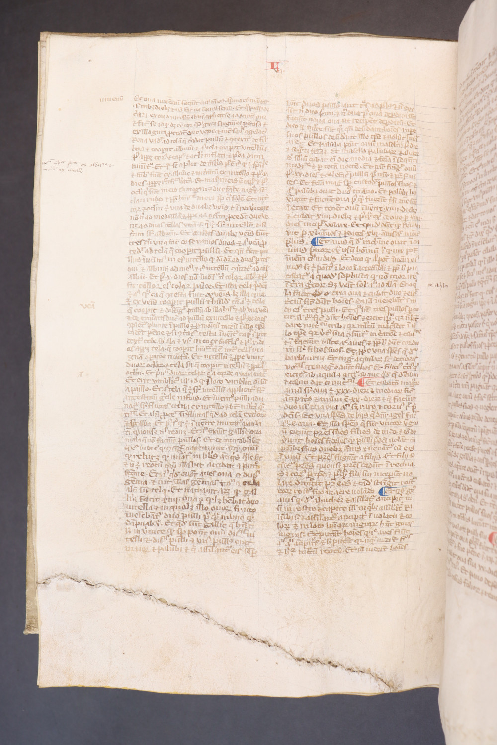 Folio 232 verso