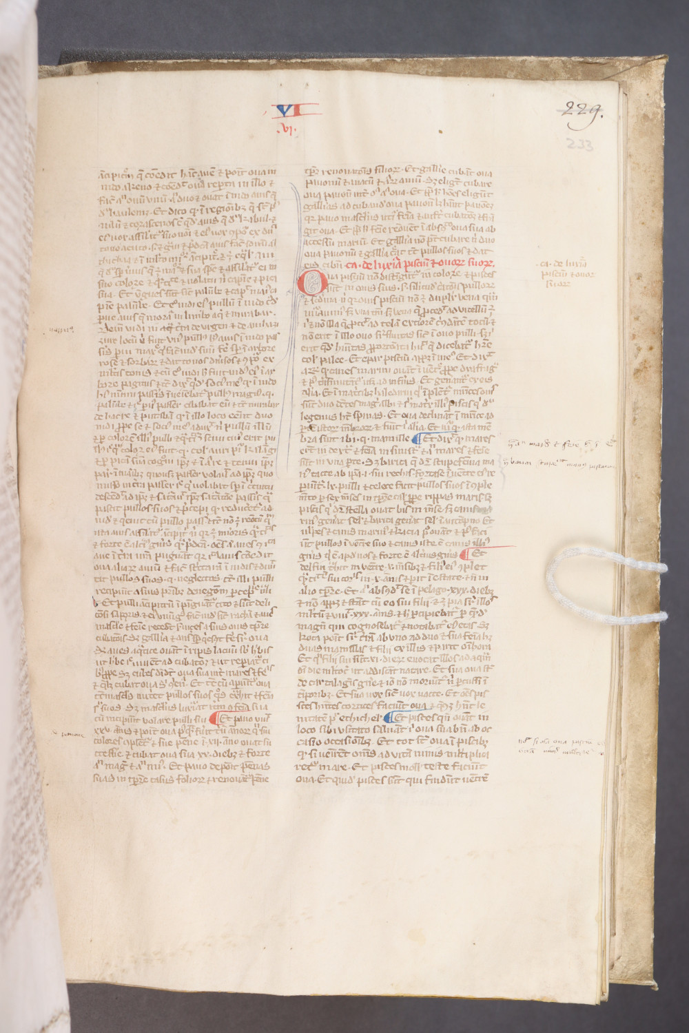 Folio 233 recto