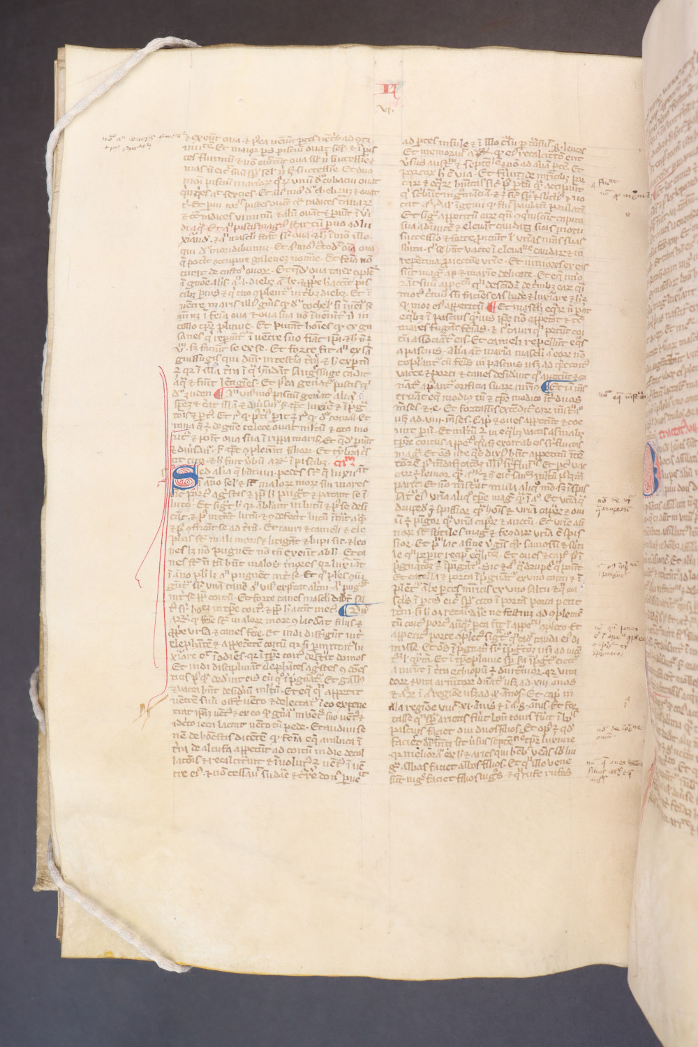 Folio 233 verso