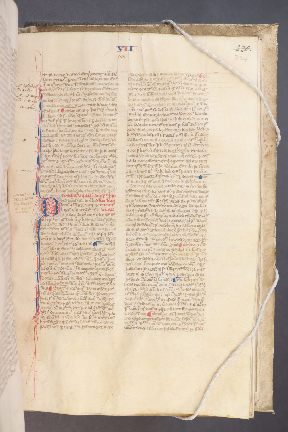 Folio 234 recto