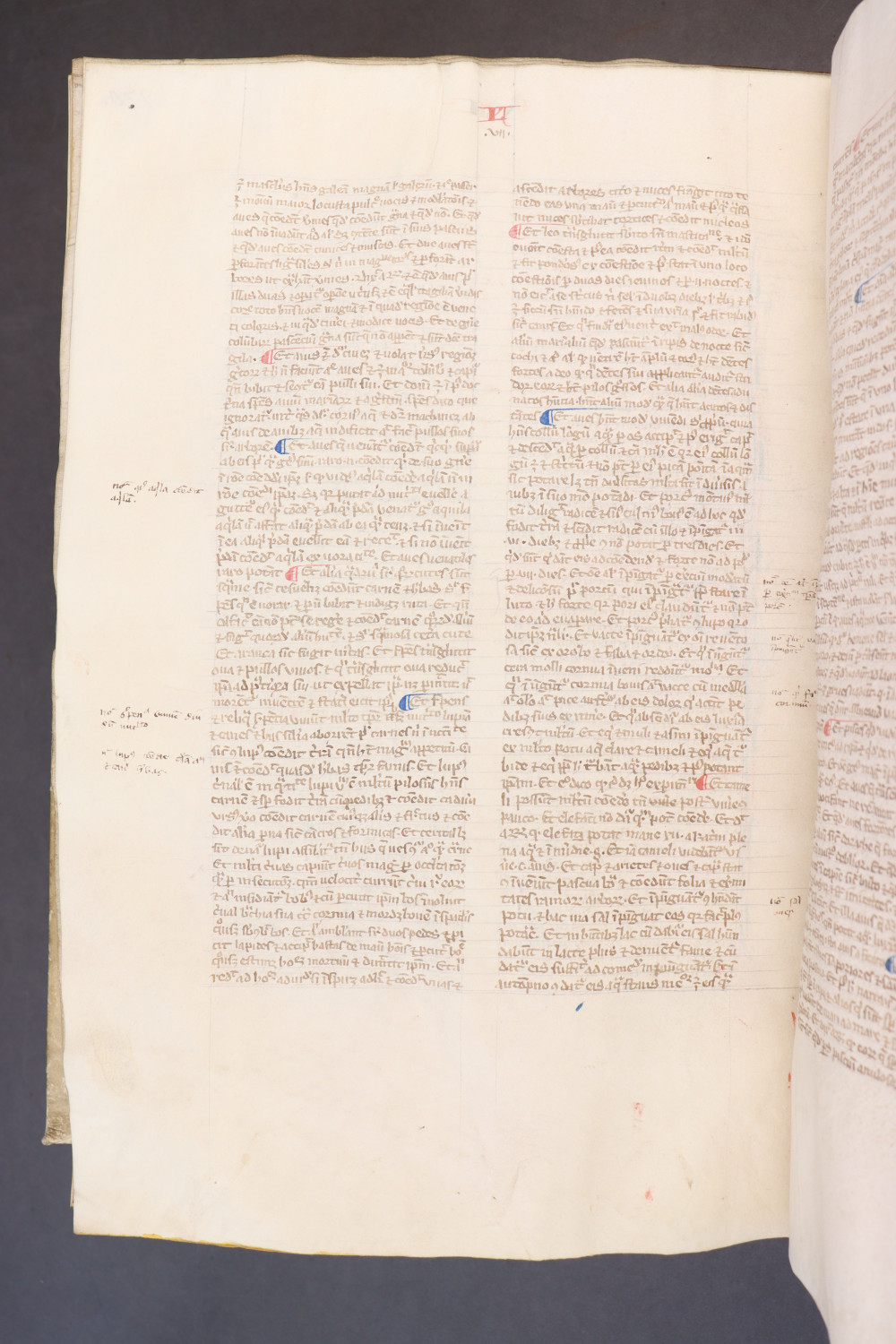 Folio 234 verso