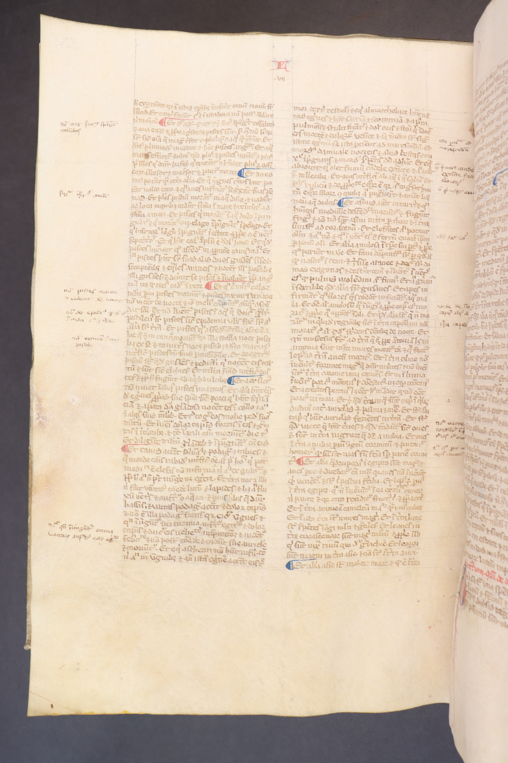 Folio 235 verso