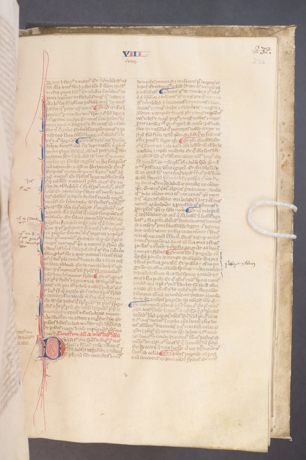 Folio 236 recto