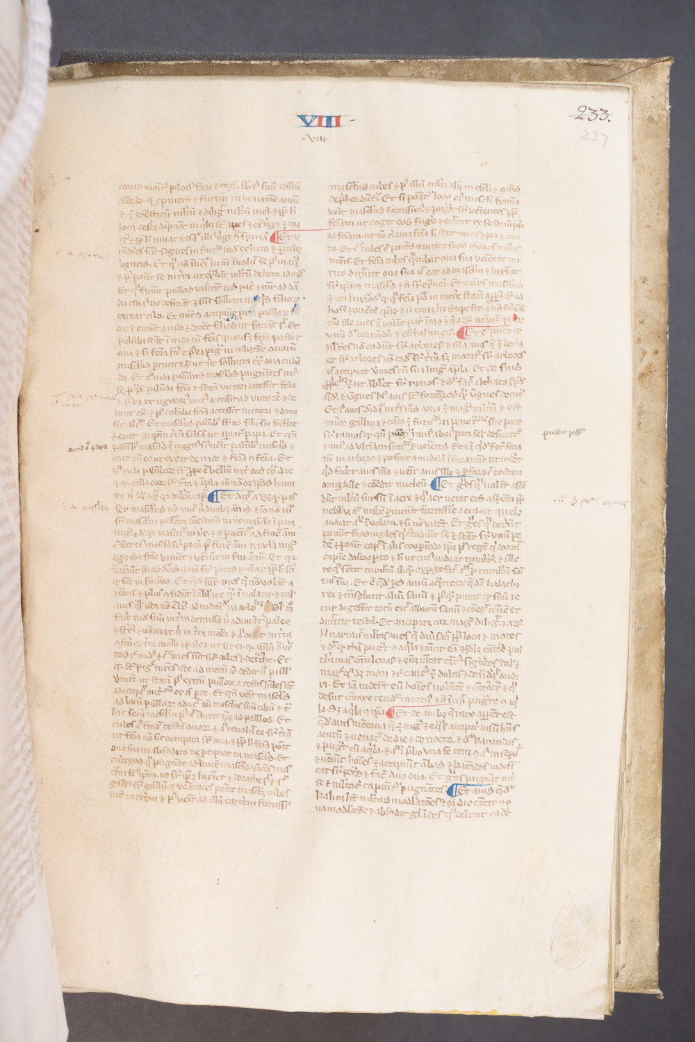 Folio 237 recto