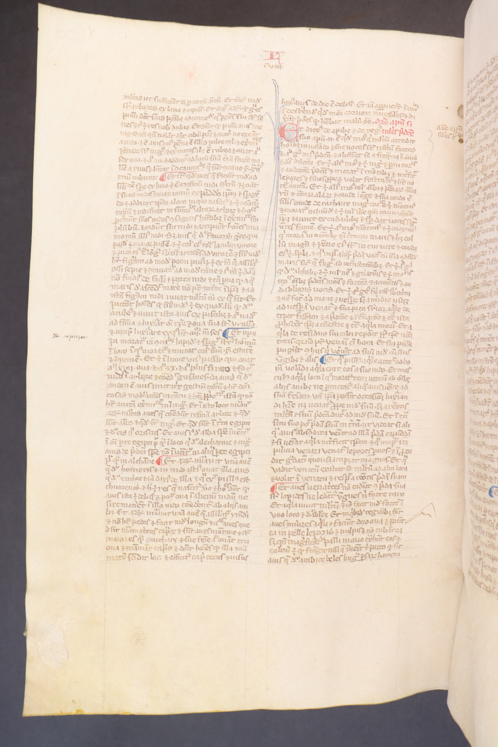 Folio 237 verso