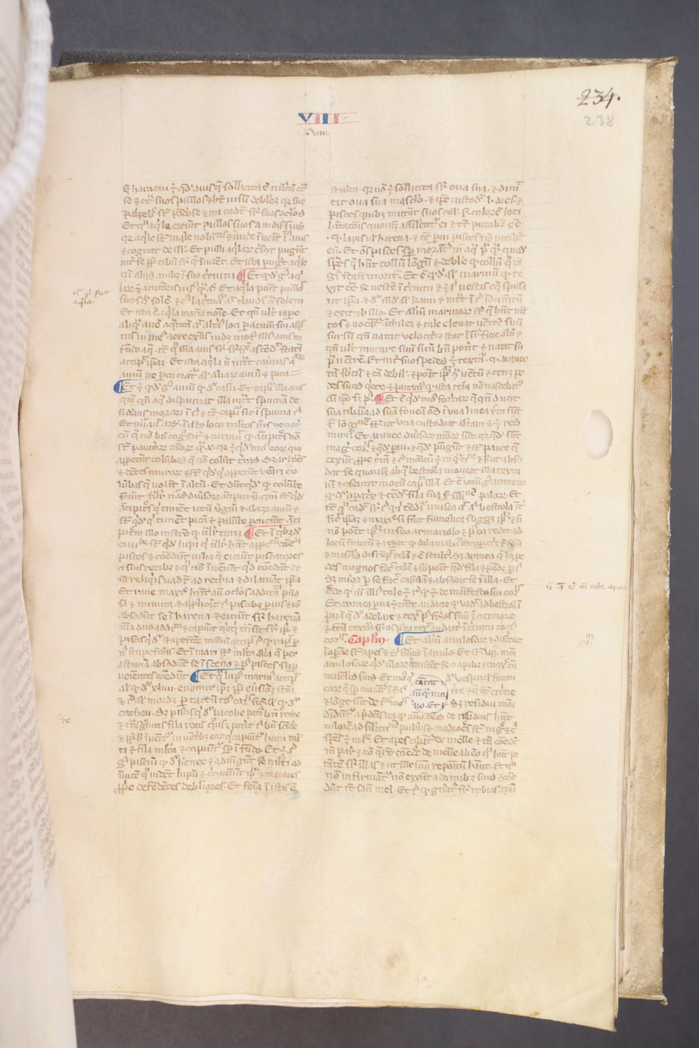 Folio 238 recto