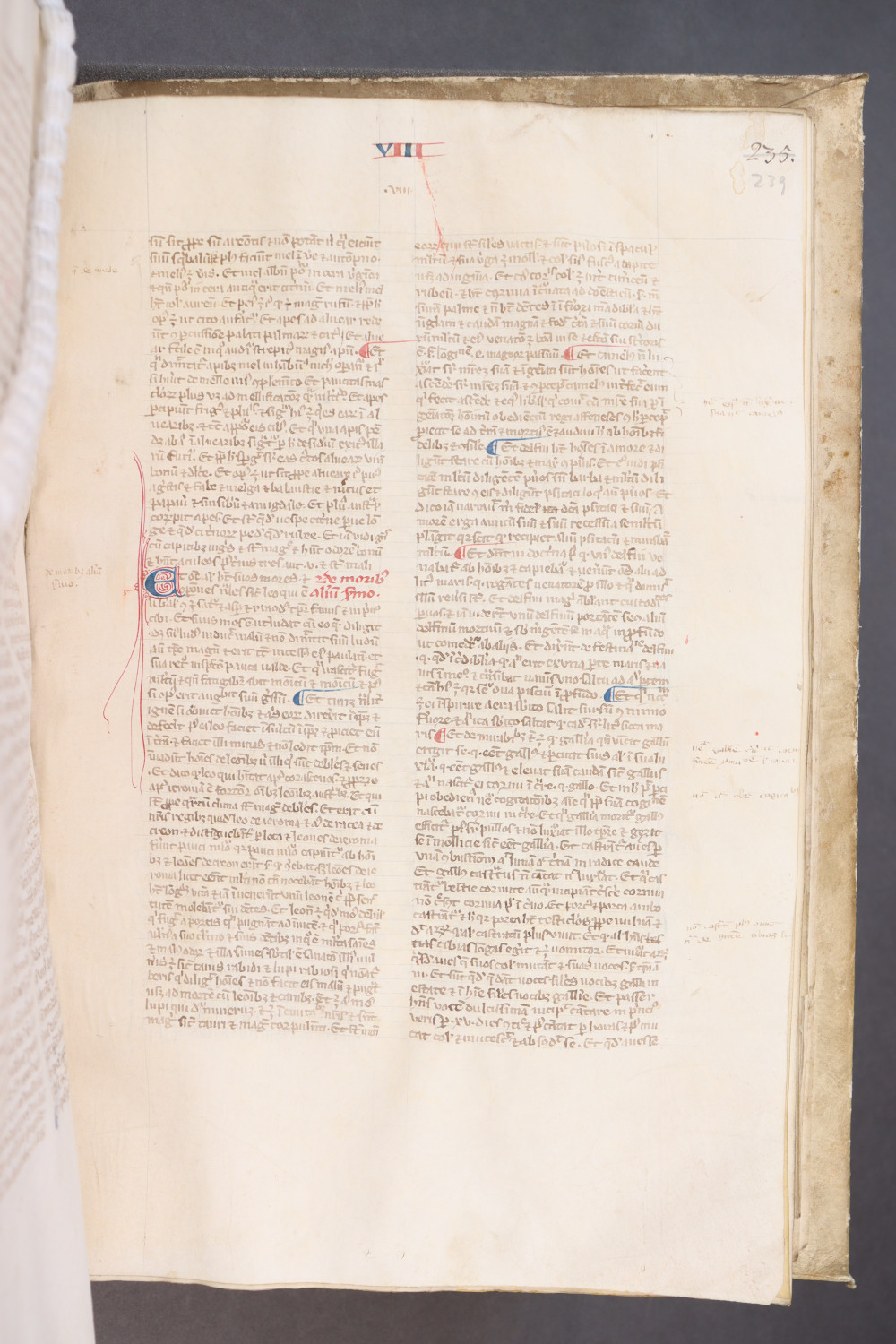 Folio 239 recto