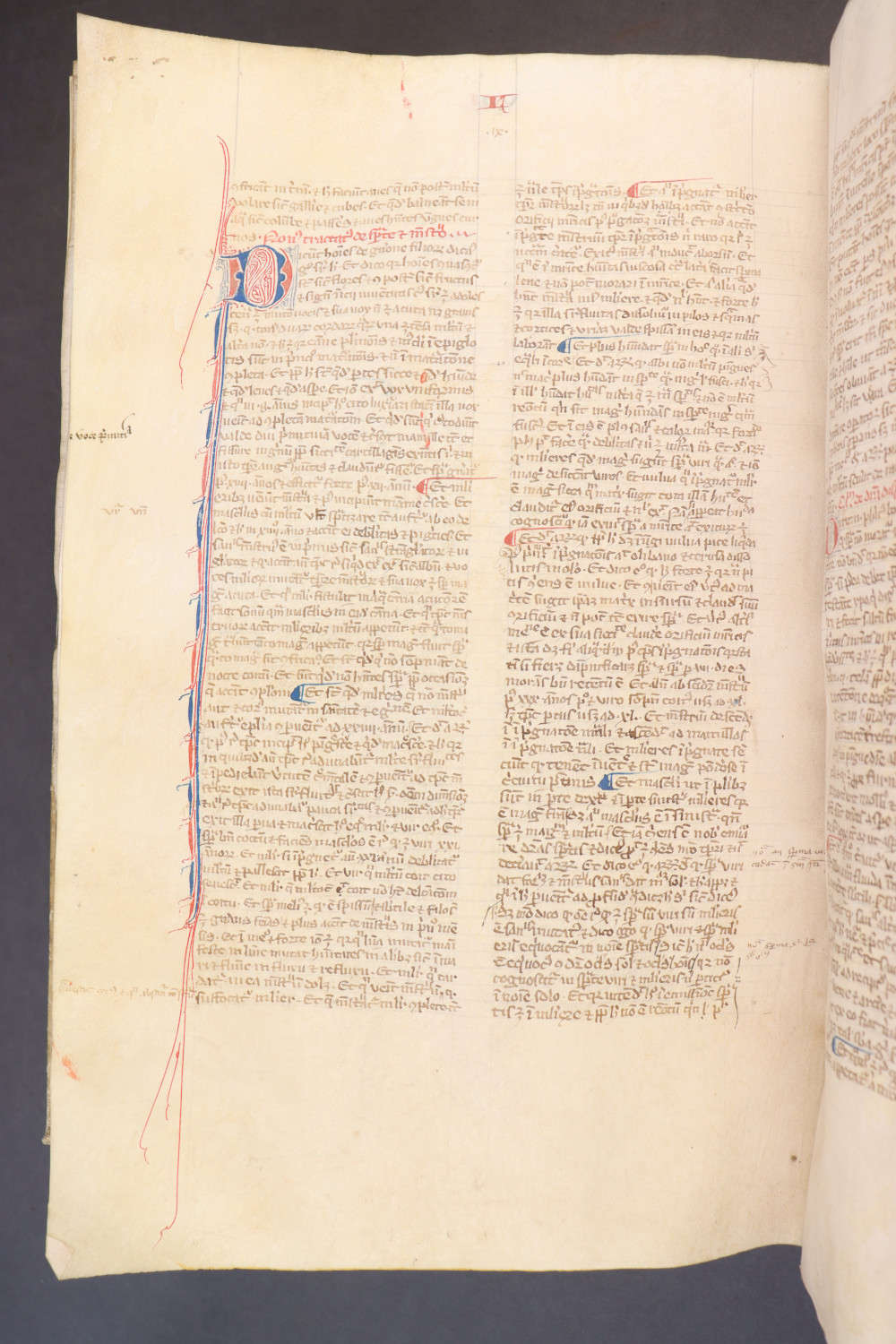 Folio 239 verso