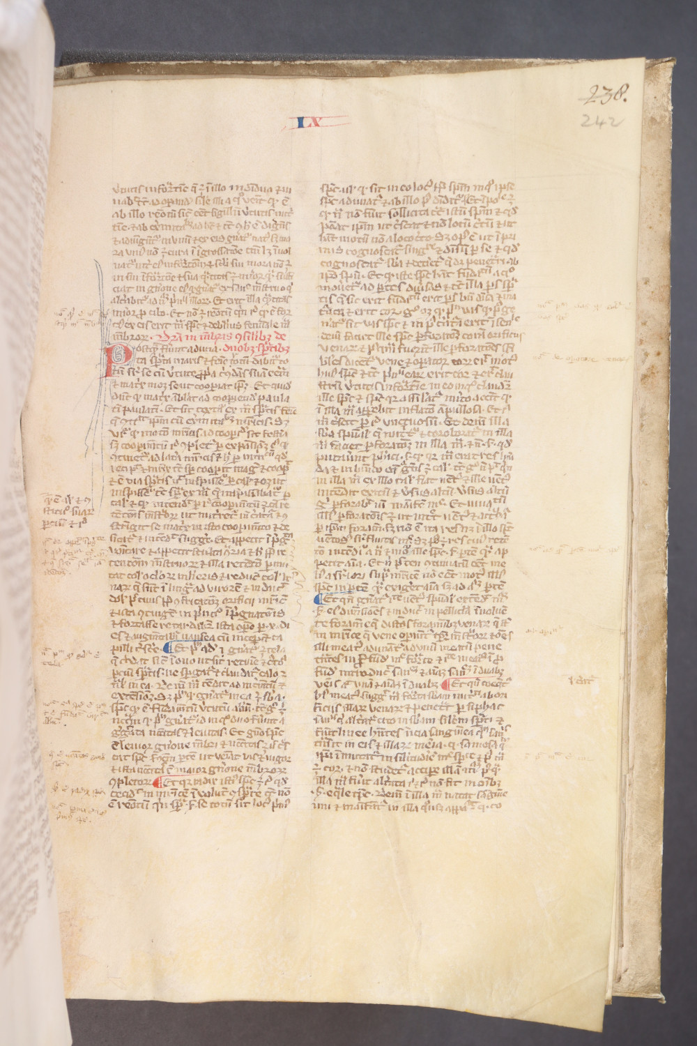 Folio 242 recto
