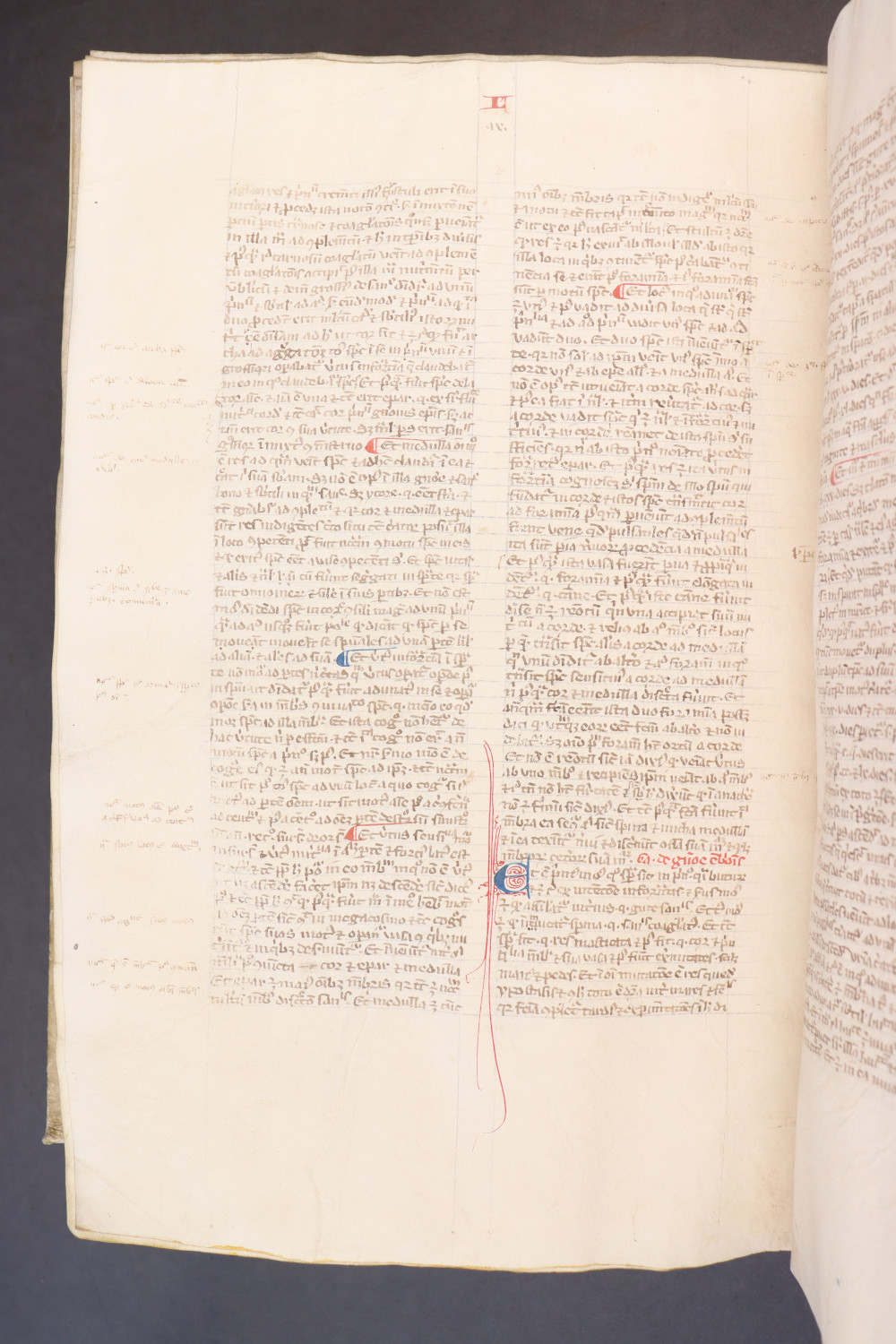Folio 242 verso